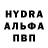 Каннабис Bruce Banner Lili Wolke