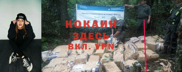 мяу мяу кристалл Няндома
