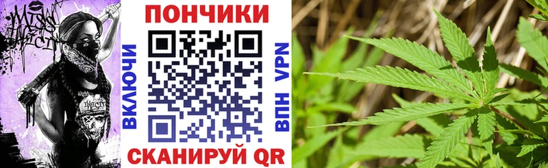 Бошки Шишки гибрид  Тайга 